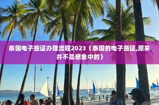 泰国电子签证办理流程2023（泰国的电子签证,原来并不是想象中的）  第1张