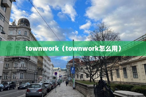 townwork（townwork怎么用）